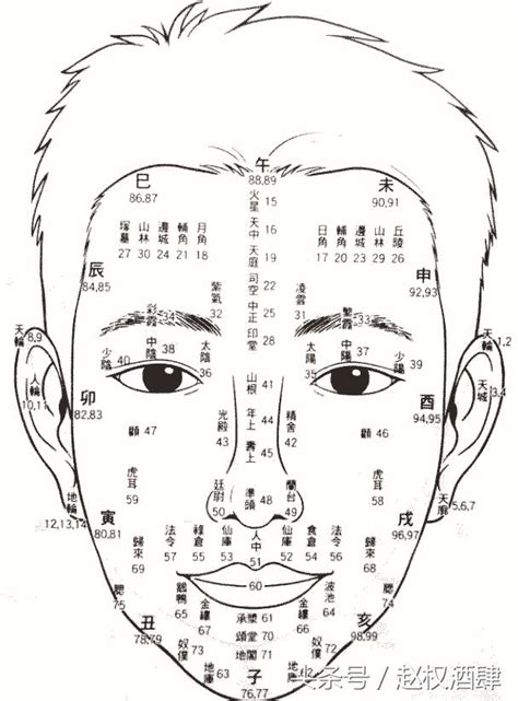 面相年齡圖